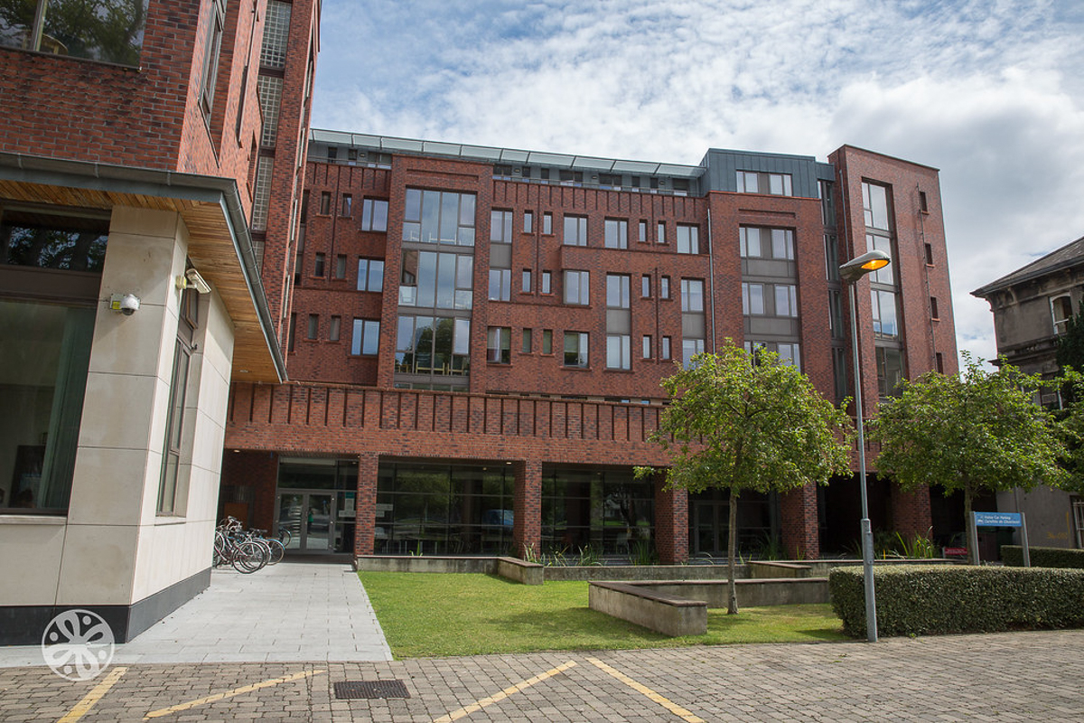 Emerald Cultural Institute